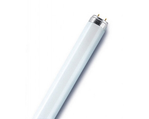 Luminiscjo dienas gaismas spuldze, 30W, garums 865m, silti balta